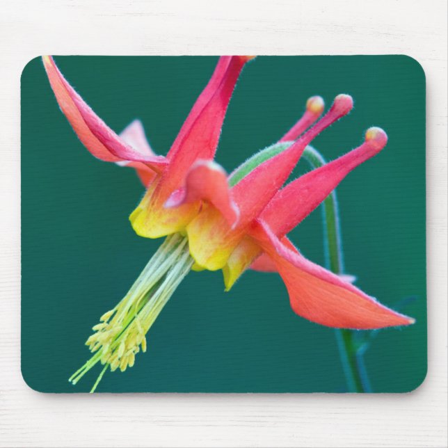 Red Columbine Mouse Mat (Front)