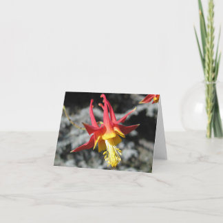 Red Columbine Note Card