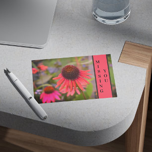 Red Cone Flowers Echinacea Missing You Postcard