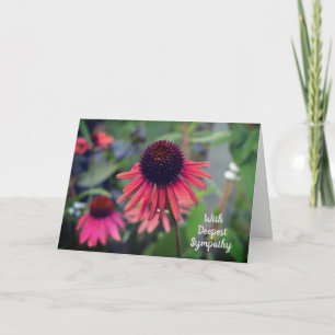 Red Cone Flowers Echinacea With Sympathy Card
