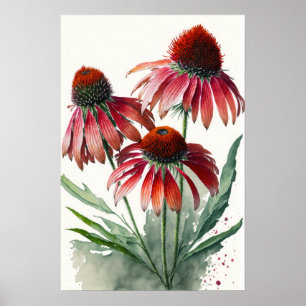 Red Coneflowers Art Print Poster