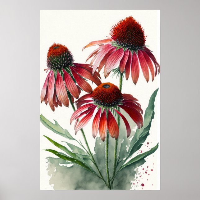 Red Coneflowers Art Print Poster (Front)