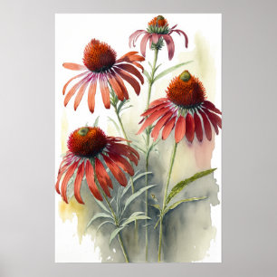 Red Coneflowers Art Print Poster