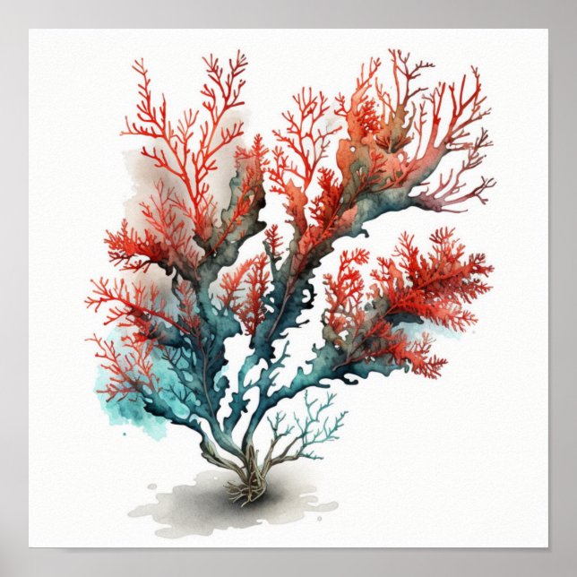Red coral in watercolor  poster (Front)