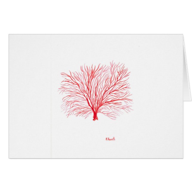 Red coral sealife (Front Horizontal)