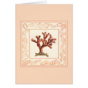 Red Coral with Conch Shell Border
