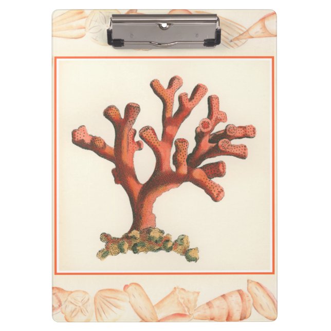 Red Coral with Conch Shell Border Clipboard (Front)