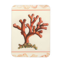 Red Coral with Conch Shell Border
