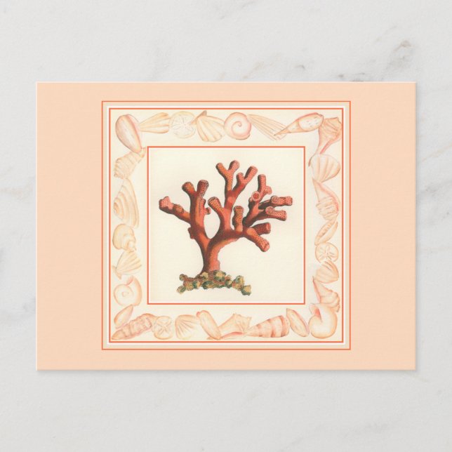 Red Coral with Conch Shell Border Postcard (Front)