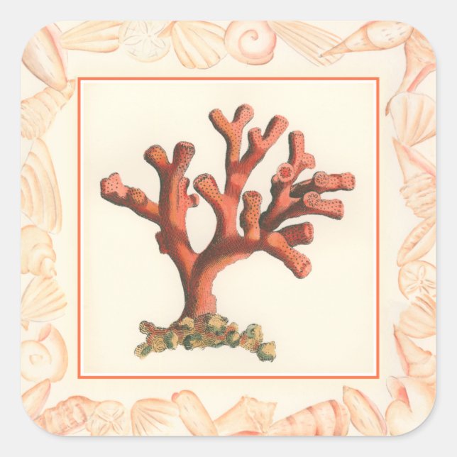 Red Coral with Conch Shell Border Square Sticker (Front)