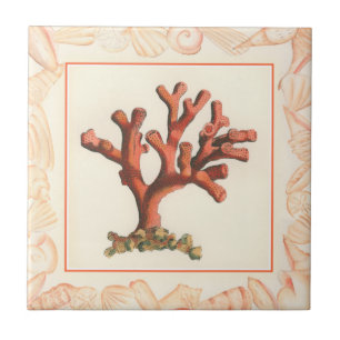 Red Coral with Conch Shell Border Tile