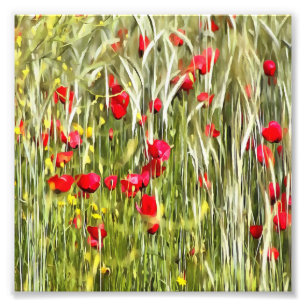 Red Corn Poppies Realistic Art Photo Print
