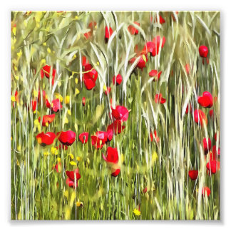 Red Corn Poppies Realistic Art Photo Print