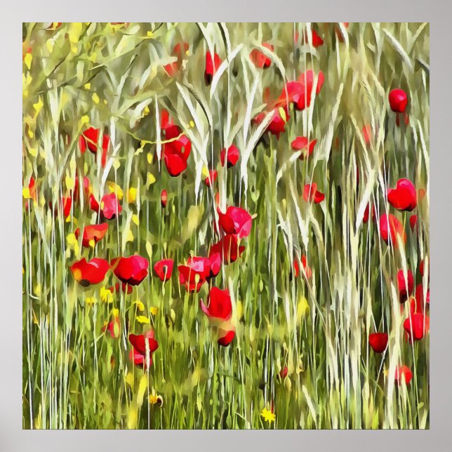 Red Corn Poppies Realistic Art Poster (Front)