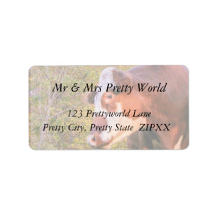 Red Cow in the Autumn Sunlight Label