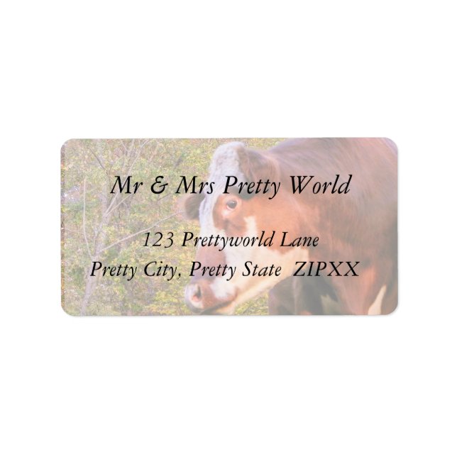 Red Cow in the Autumn Sunlight Label (Front)