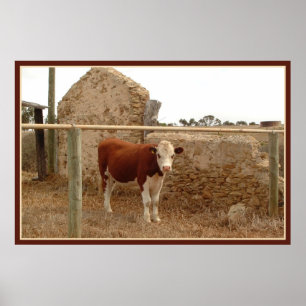red cow print with border