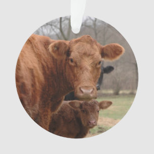 red cow with her Calf Ornament