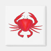 Red Crab Baltimore Maryland Crabs Beach Magnet