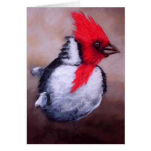 Red Crested Cardinal