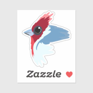 Red-Crested Cardinal Bird 