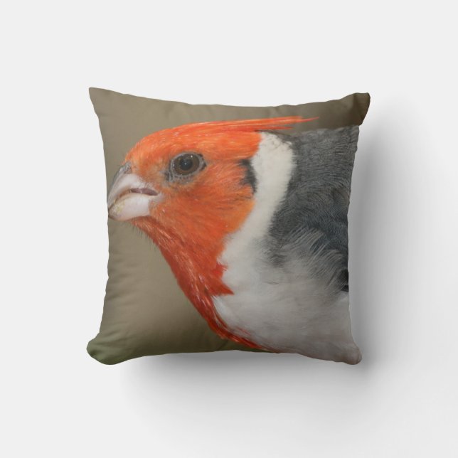 Red Crested Cardinal Cushion (Front)