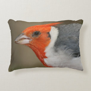 Red Crested Cardinal Decorative Cushion