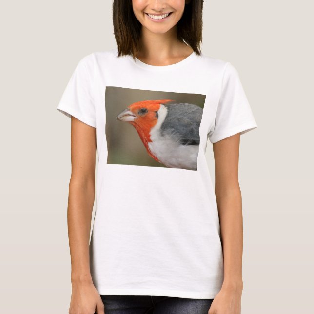 Red Crested Cardinal T-Shirt (Front)