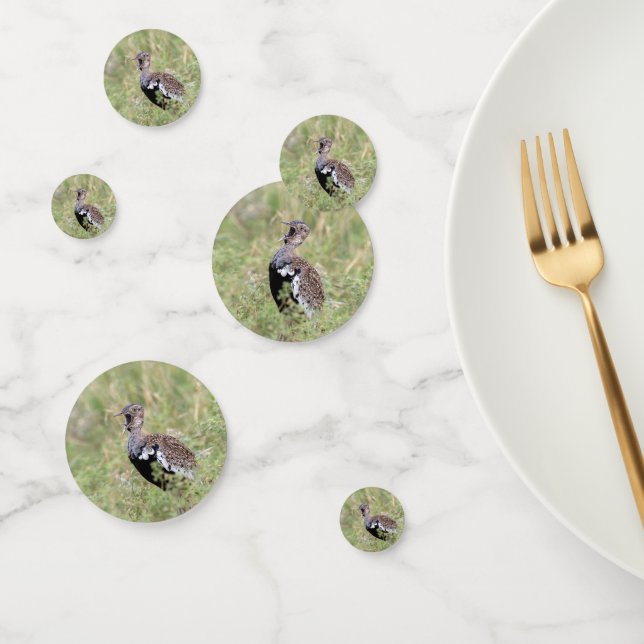 Red Crested Korhaan Confetti (Group)