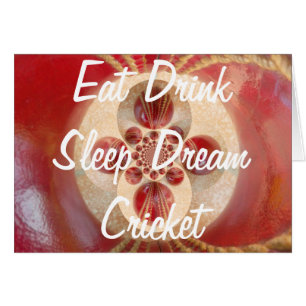 Red Cricket balls design