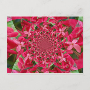 Red Crimson Postcard Horizontal Template