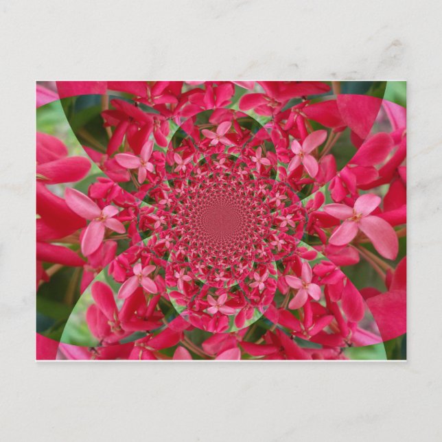 Red Crimson Postcard Horizontal Template (Front)