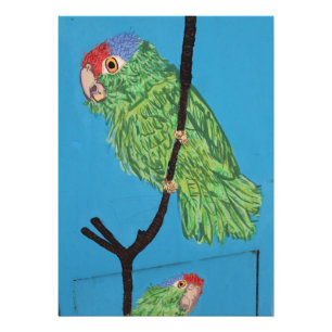 red-crowned green parrot photo print