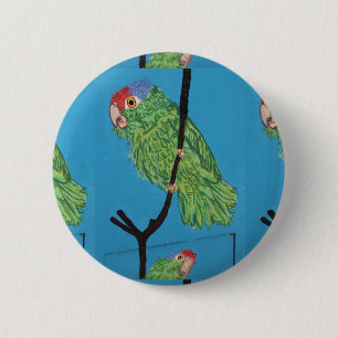 red-crowned parrot button