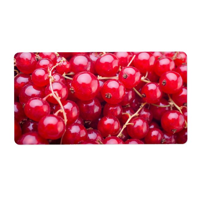 Red Currant (Front)