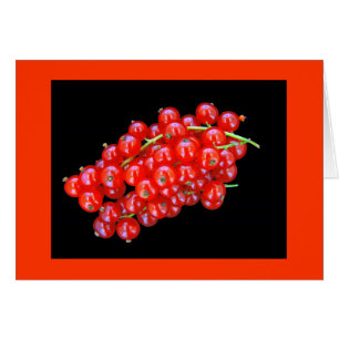 Red Currant Berry