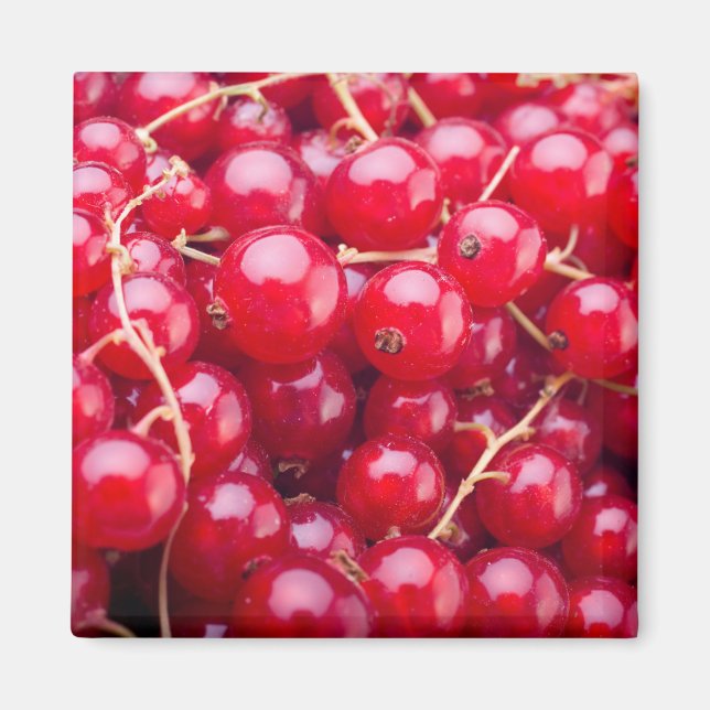 Red Currant Magnet (Front)