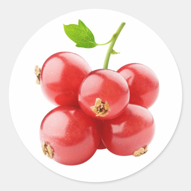 Red currants classic round sticker (Front)