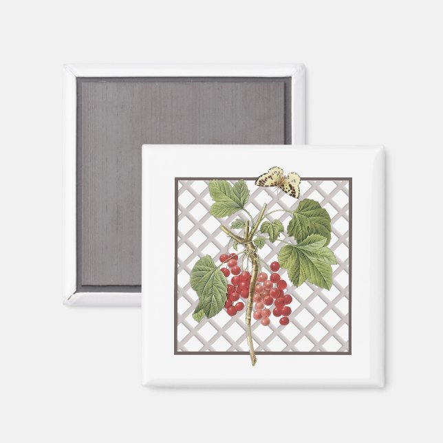RED CURRANTS MAGNET (Front/Back)