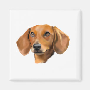 Red Dachshund Dog Magnet