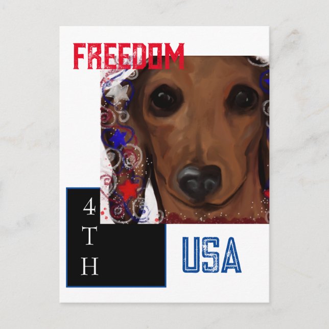 Red Dachshund      Postcard (Front)