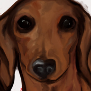 RED DACHSHUND POSTCARD