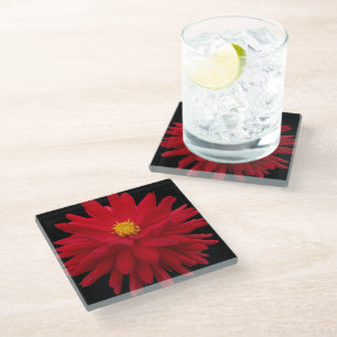 Red Dahlia Bloom on Black Floral Glass Coaster