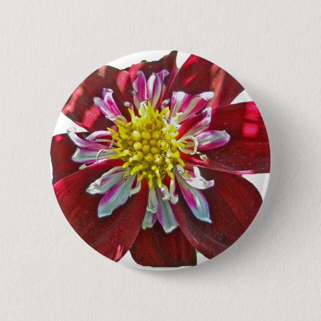 Red Dahlia Button (Front)