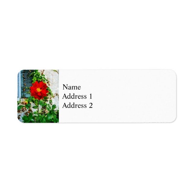 Red Dahlia By Window (Front)