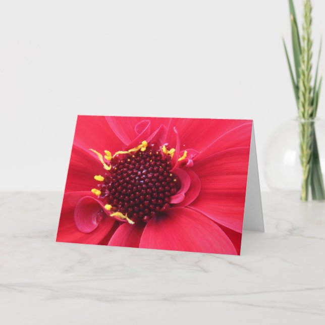 Red Dahlia Close-up Card (Front)