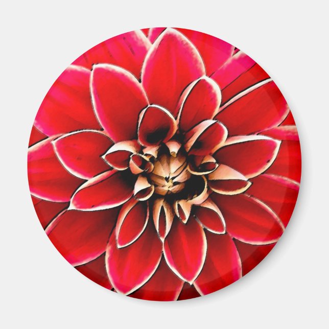 Red Dahlia, digital art Magnet (Front)