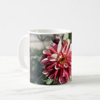 Red Dahlia – Fine Art Floral Photography Coffee Mug