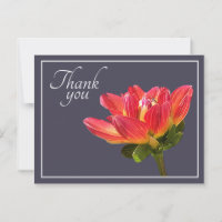 Red Dahlia Flower Grey Background Thank You