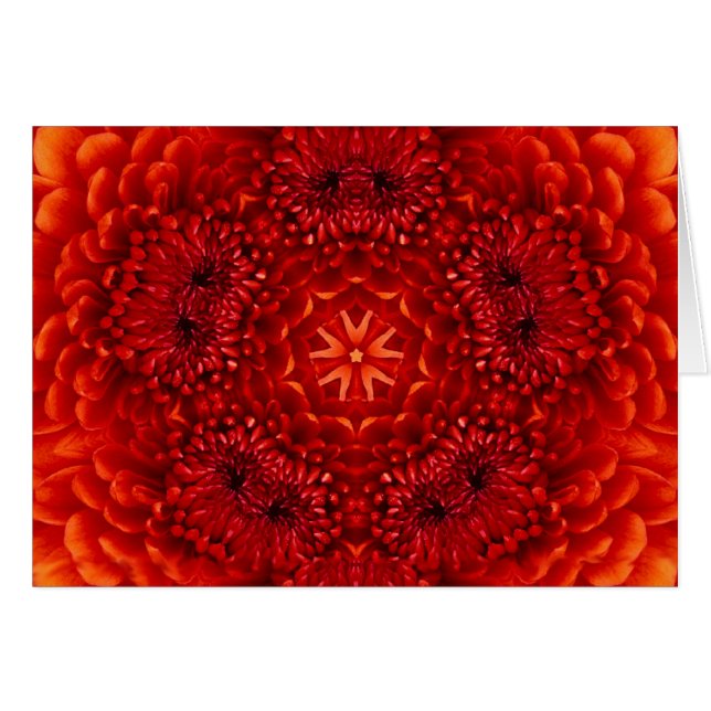 RED DAHLIA FLOWER PETALS (Front Horizontal)
